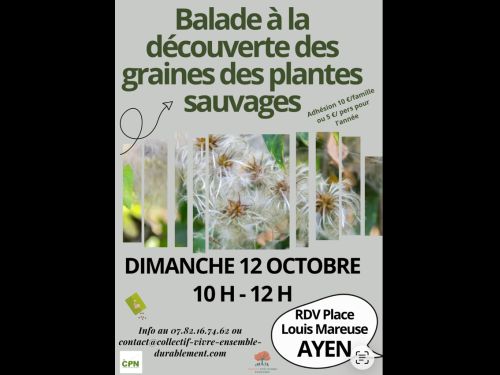 Mon Image