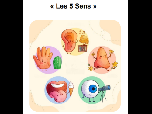 Mon Image