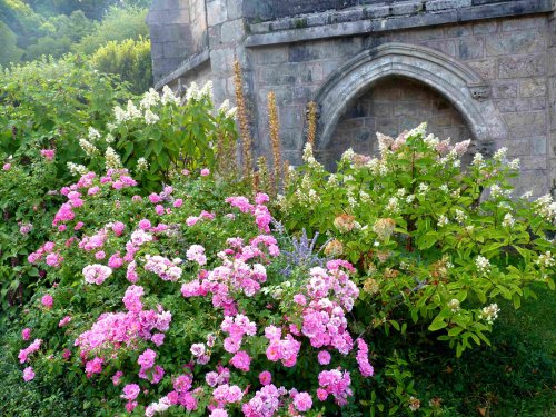 Ayen conserve sa troisi&egrave;me fleur