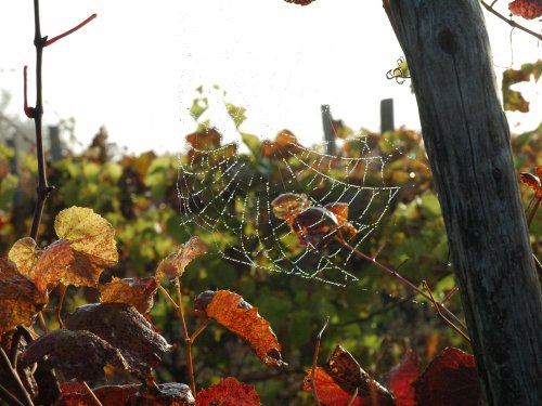 Ayen,commune  labellis&eacute;e station verte depuis 2009