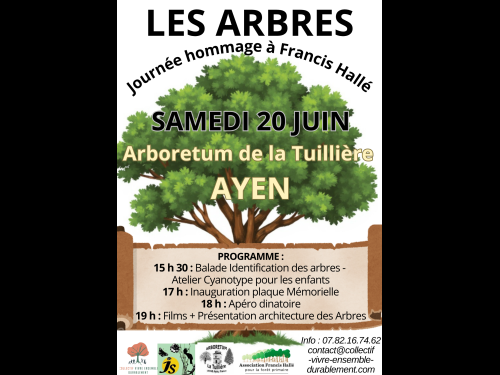 Mon Image